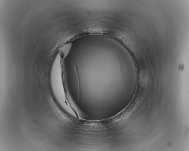 X0000091710449200709141123