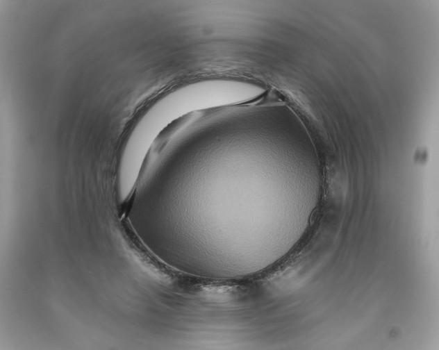 X0000091710450200709141123