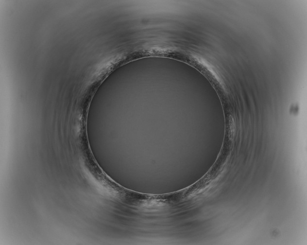 X0000091710451200709141124