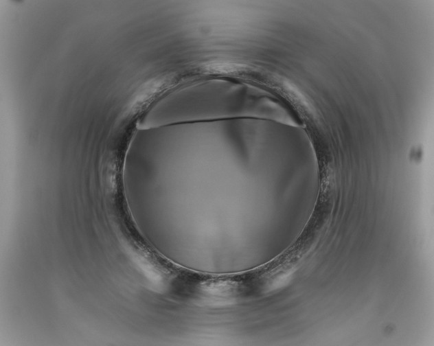 X0000091710452200709141124