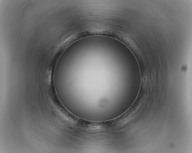 X0000091710454200709141124