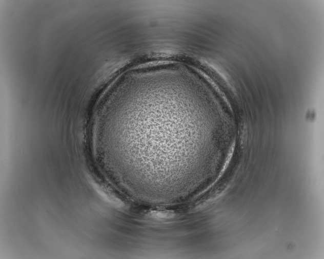 X0000091710455200709141124