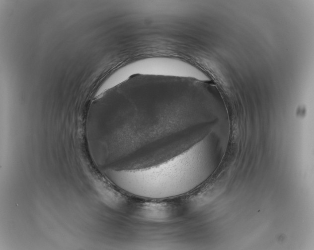 X0000091710457200709141124