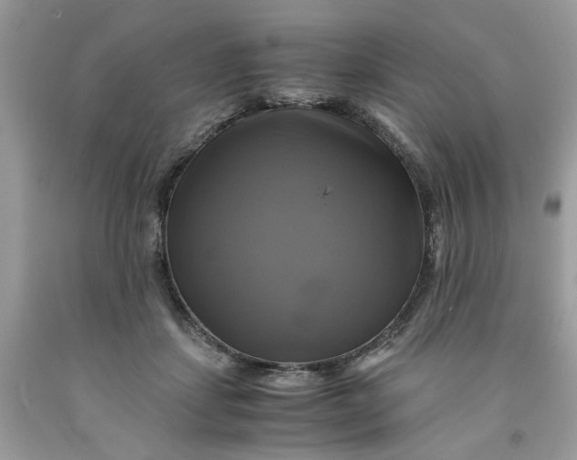 X0000091710459200709141124