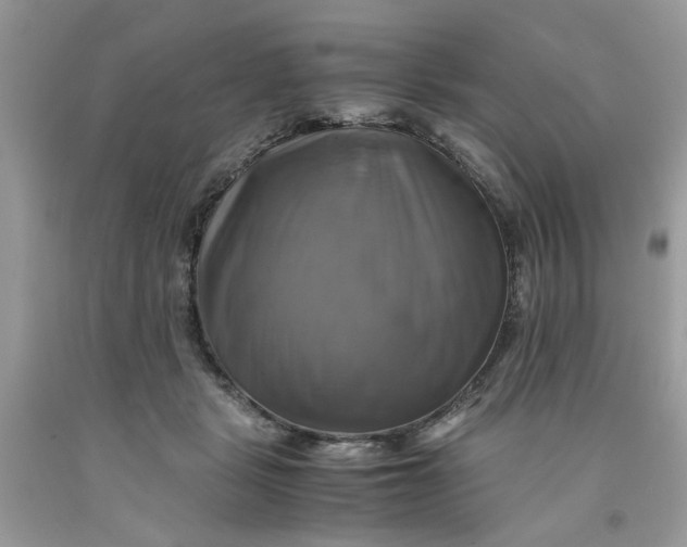 X0000091710461200709141124