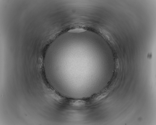 X0000091710463200709141124