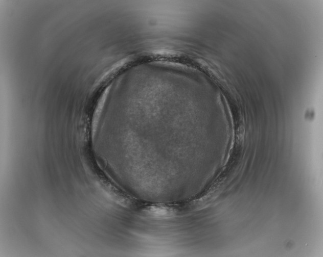 X0000091710464200709141124