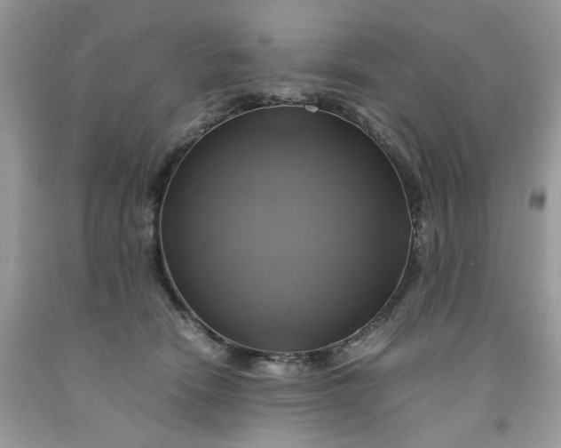 X0000091710466200709141124