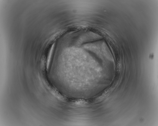 X0000091710468200709141124