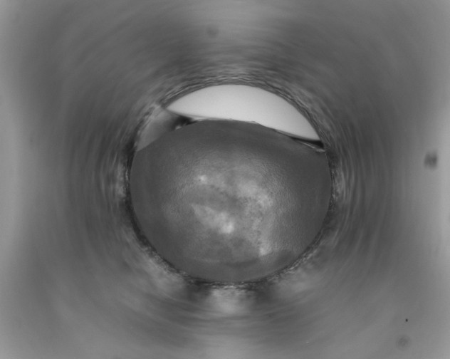 X0000091710470200709141124