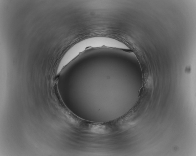 X0000091710471200709141124