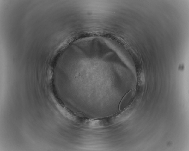 X0000091710472200709141124