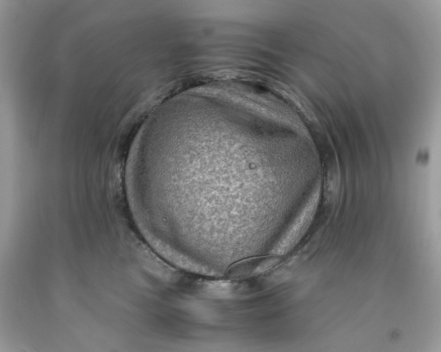 X0000091710473200709141124