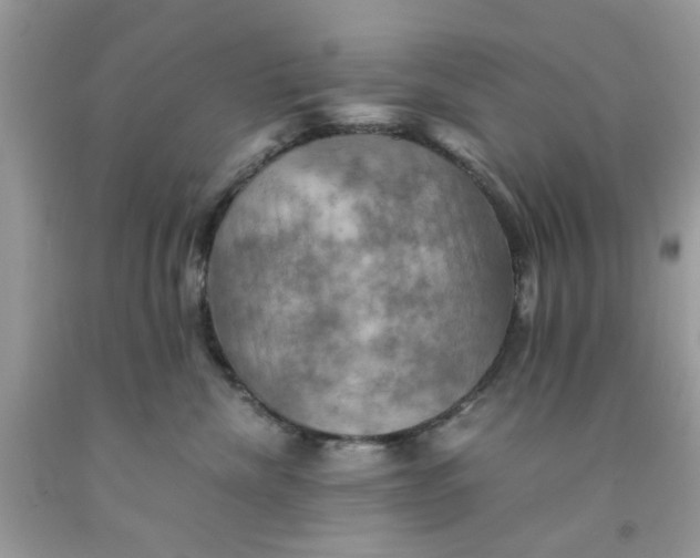 X0000091710476200709141124