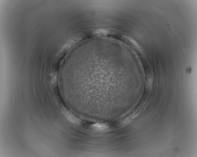 X0000091710477200709141124