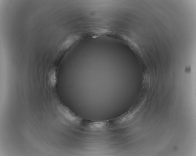 X0000091710479200709141124