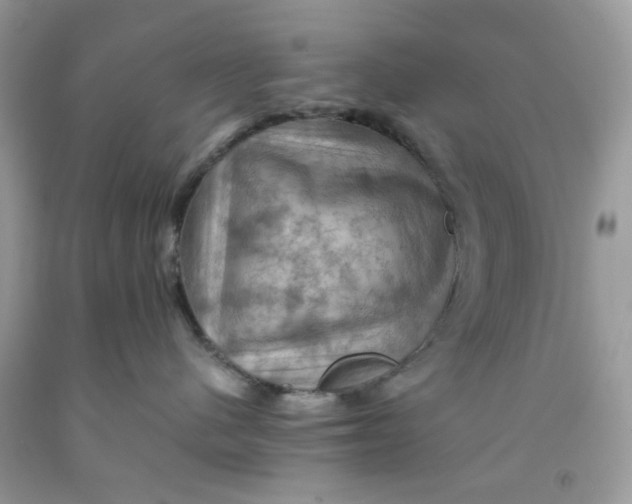 X0000091710480200709141124