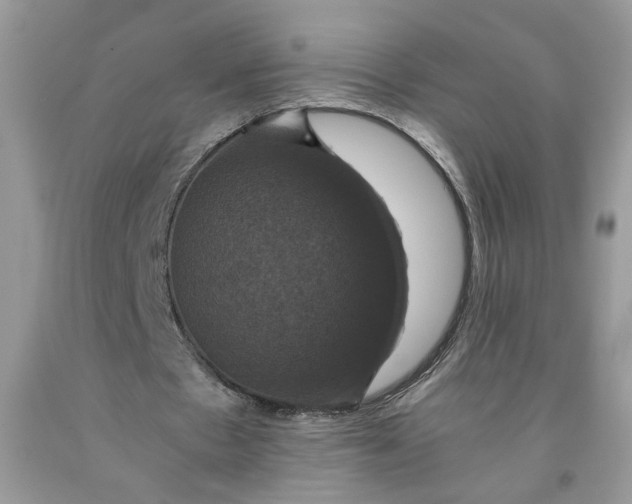 X0000091710481200709141123