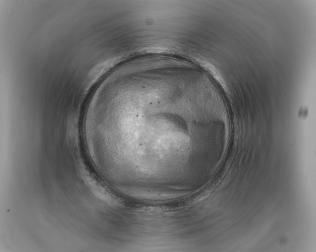 X0000091710482200709141123