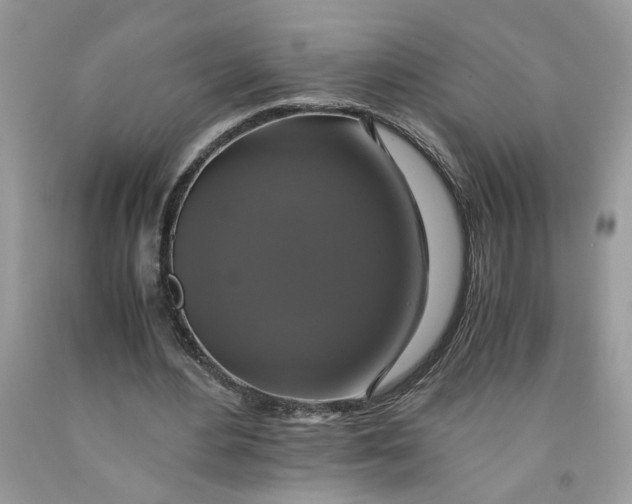 X0000091710484200709141123