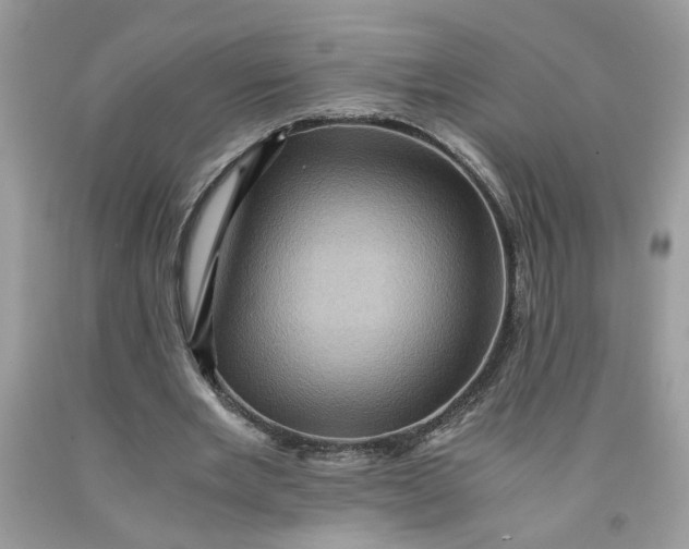 X0000091710485200709141123