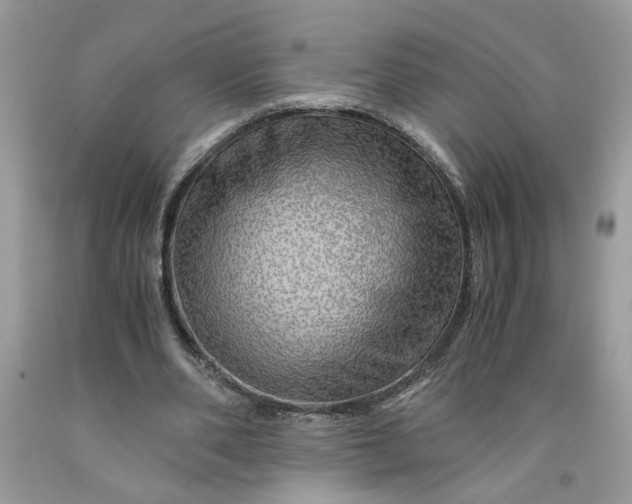 X0000091710486200709141123