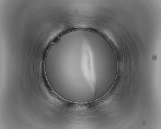 X0000091710491200709141123