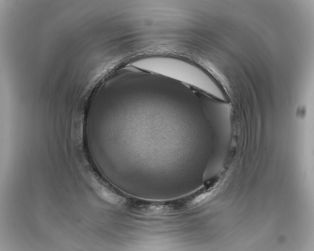 X0000091710493200709141123