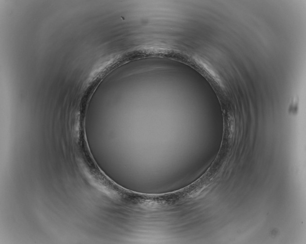 X0000091710494200709141123