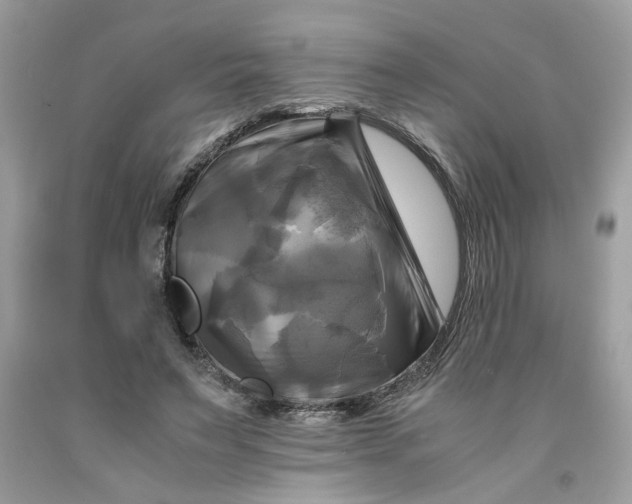 X0000091710495200709141123