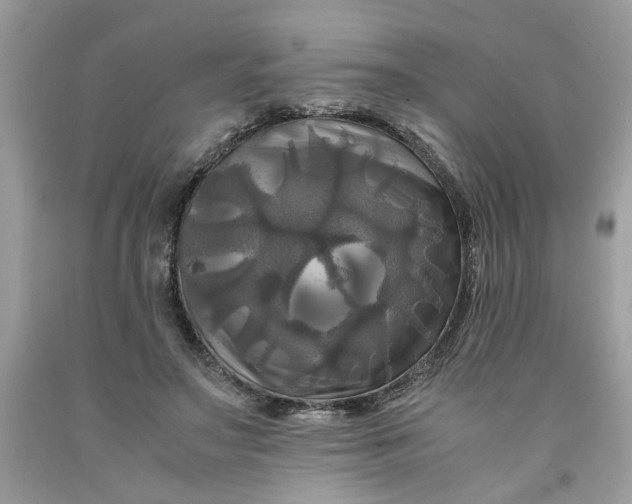 X0000091710499200709141123