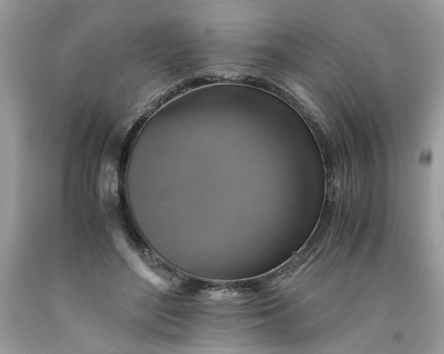 X0000091710500200709141123