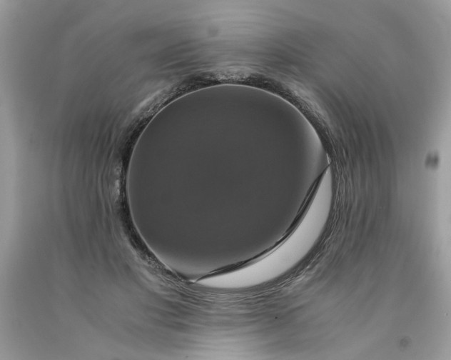 X0000091710501200709141123