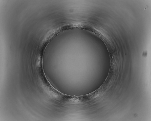 X0000091710502200709141123