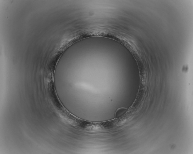 X0000091710503200709141123