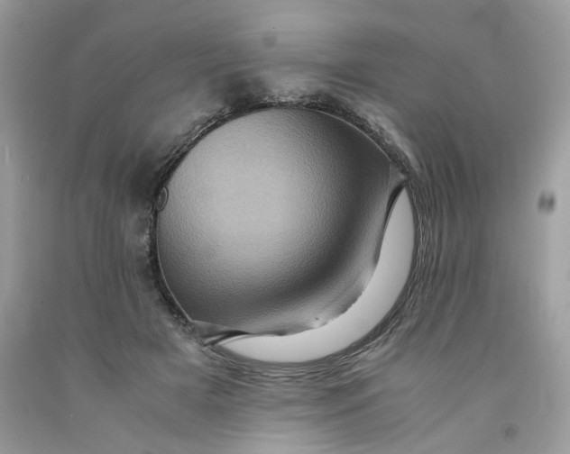 X0000091710505200709141123