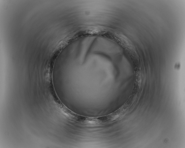 X0000091710510200709141123