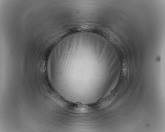 X0000091710514200709141123