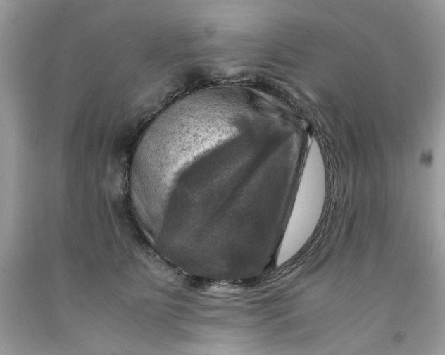 X0000091710515200709141123