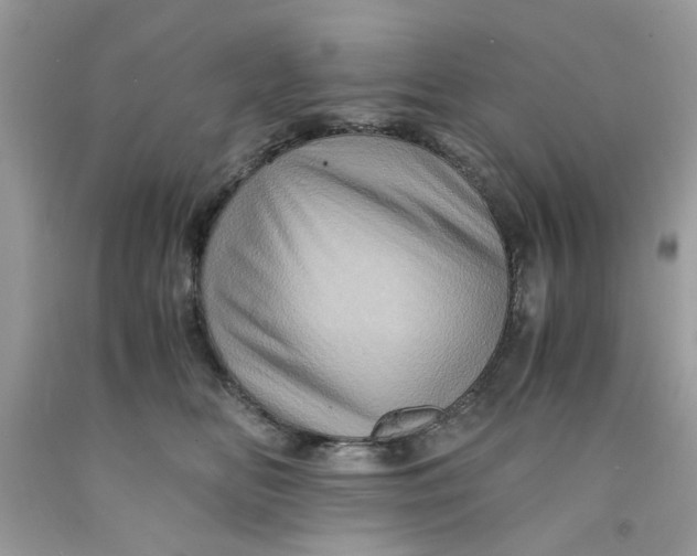 X0000091710518200709141123