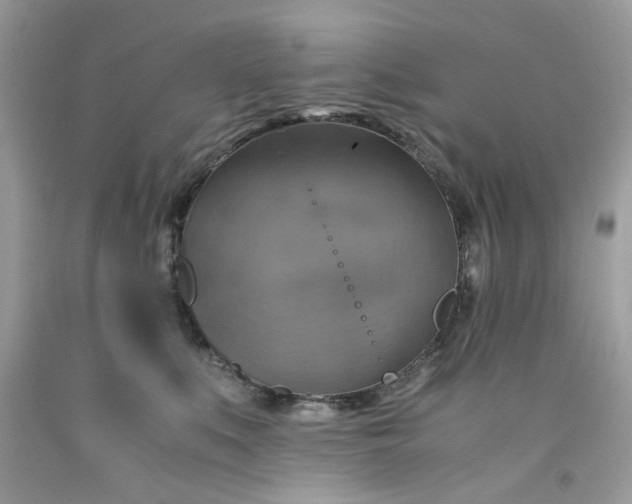 X0000091710519200709141123