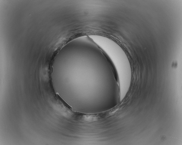 X0000091710520200709141123