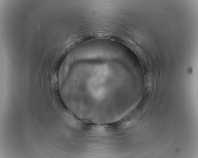 X0000091710523200709141123