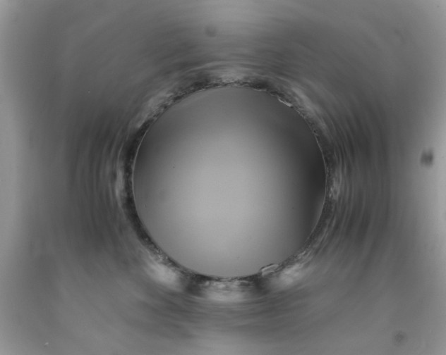 X0000091710524200709141123