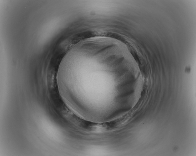 X0000091710525200709141123