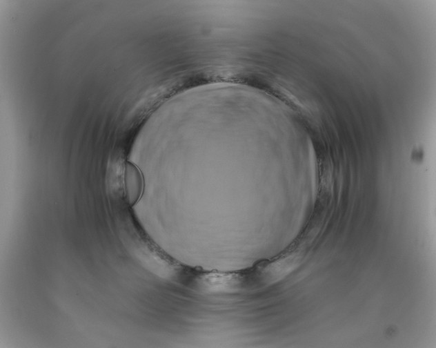 X0000091710526200709141123