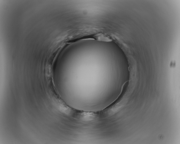 X0000091710528200709141123