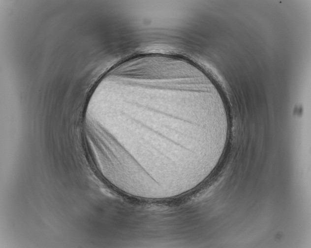 X0000091710529200709141122