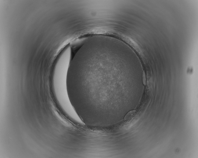 X0000091710530200709141122