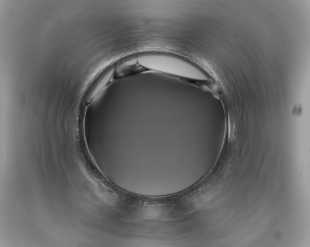 X0000091710531200709141122